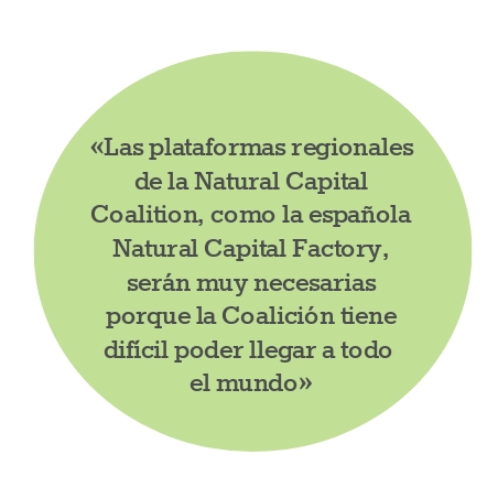 «Las plataformas regionales de la Natural Capital Coalition, como la española Natural Capital Factory, será muy necesarias porque la Coalición tiene difícil poder llegar a todo el mundo»